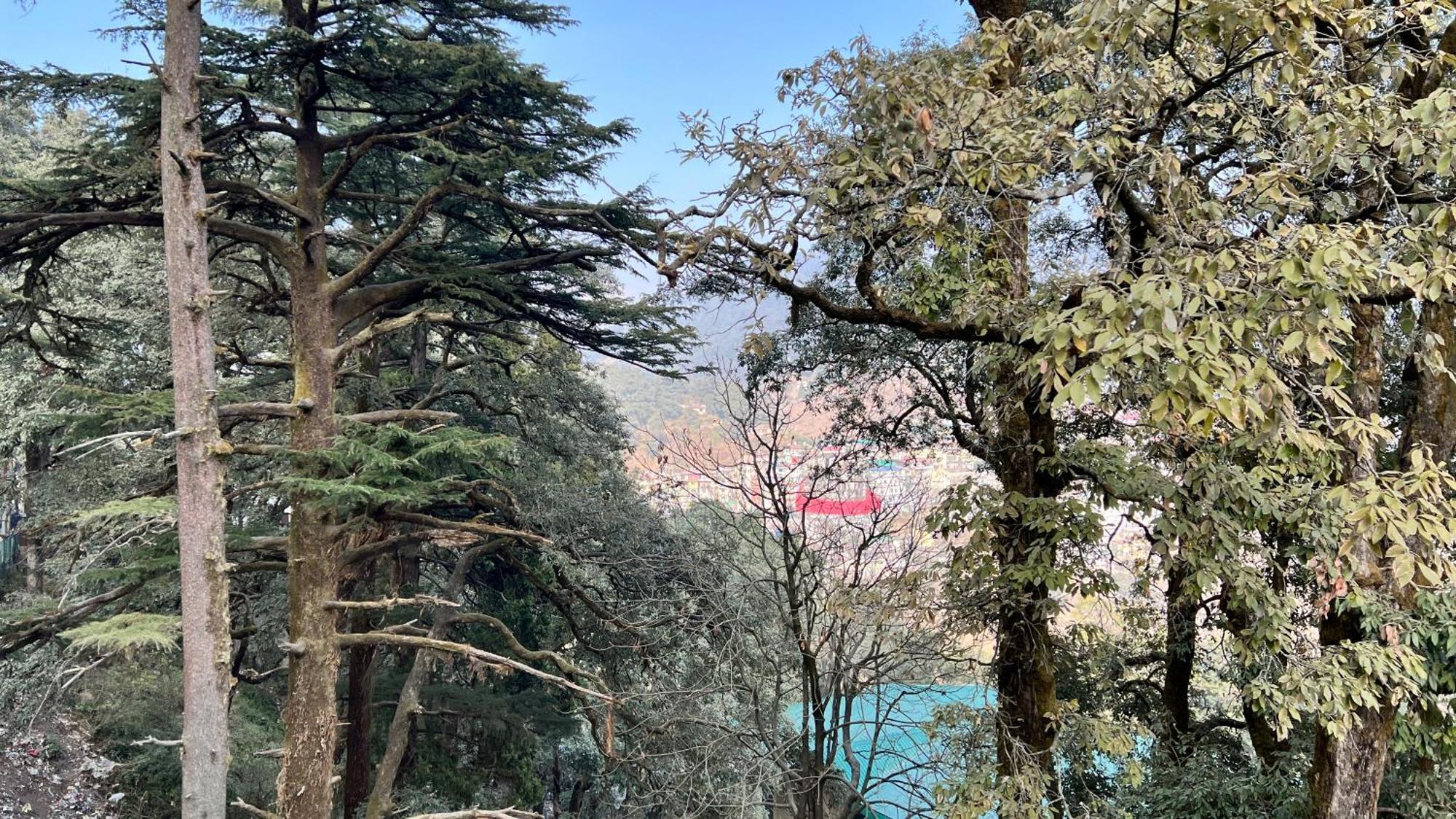 Hotel Pride Inn - 800 Mts From Mall Road Mussoorie Eksteriør billede